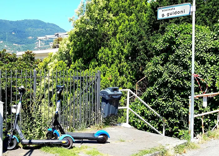 Garden & View *