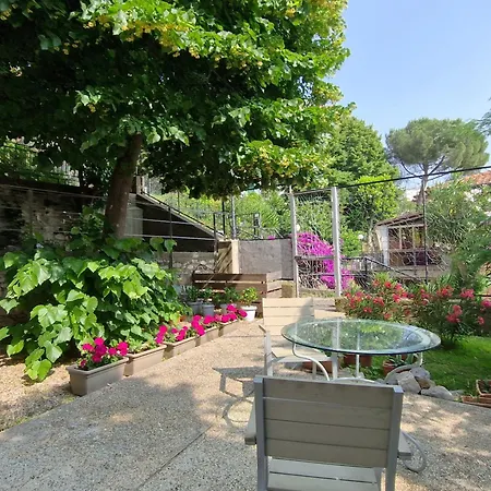 Garden & View