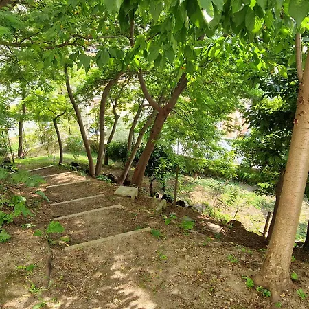 דירה Garden & View